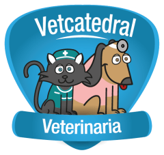 Logo de Vetcatedral