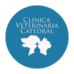 Nuevo Vetcatedral