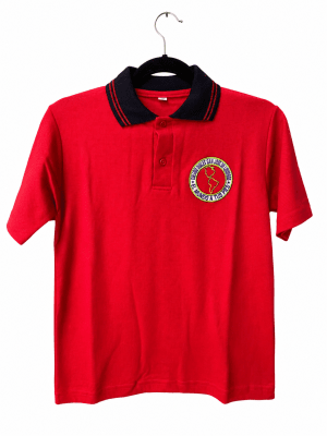 Polera piqué colegio San José1