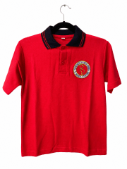 Polera piqué colegio San José