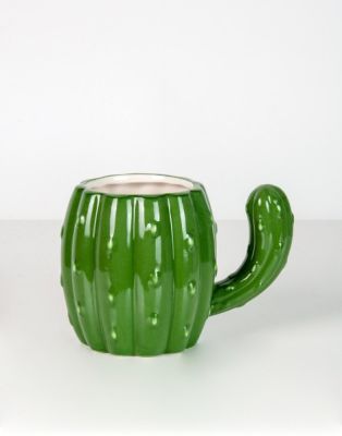 Tazon Cactus1