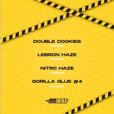 Semillas BSF Mix High Voltage x121