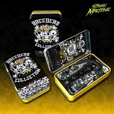 Semillas Strain Machine Critical x Purple Punch x31