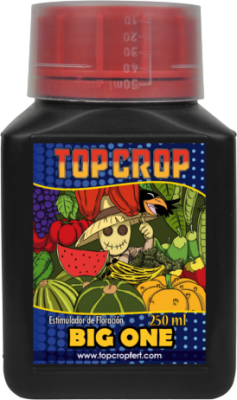 Big One 250ml (Floracion)