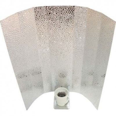 Reflector Stucco Watermark1