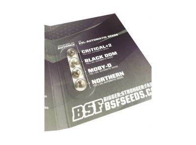 Semillas BSF Auto Mix Dealer Deal XXL x12