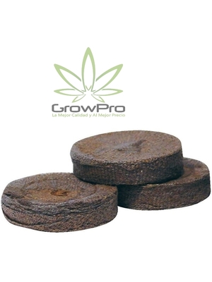 Germinador Jiffy x1