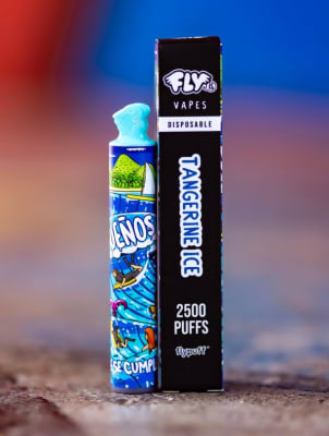 Cigarro Electrónico Desechable Fly is