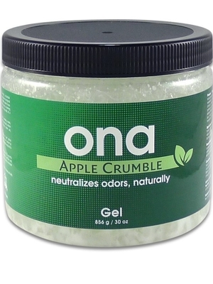 Odorizador Ona Gel Apple Crumble 1lt1