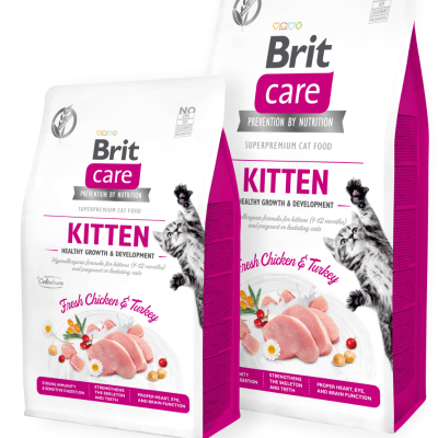 brit care cat gf kitten