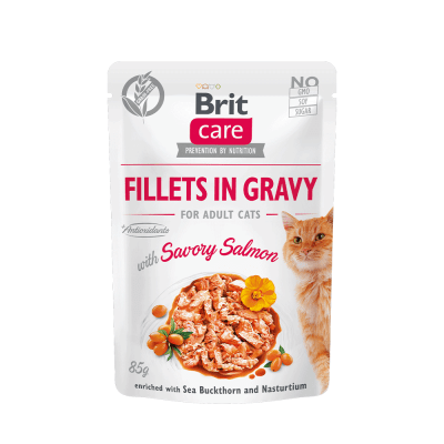 brit care cat fillets in gravy with savory salmon
