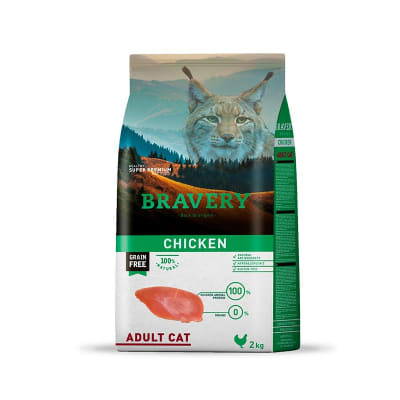 bravery adult cat chicken