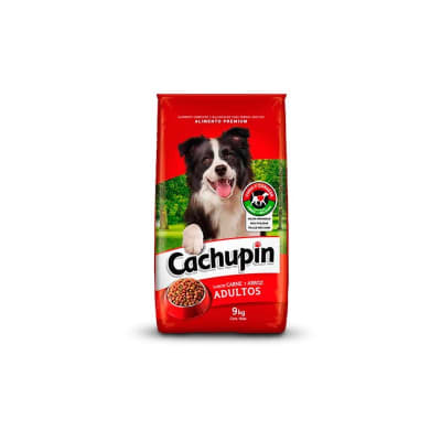 cachupin