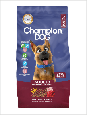 CHAMPION ADULTO CARNE Y POLLO