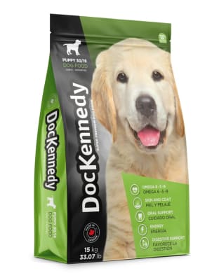dockennedy puppy