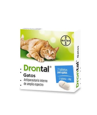 drontal gato