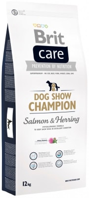 brit care dog champion