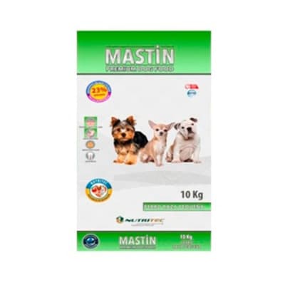 MASTIN ADULTO RAZA PEQUEÑA