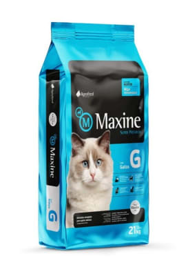 MAXINE GATO1