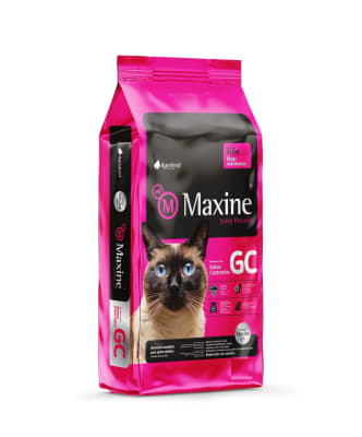 MAXINE GATO CASTRADO1