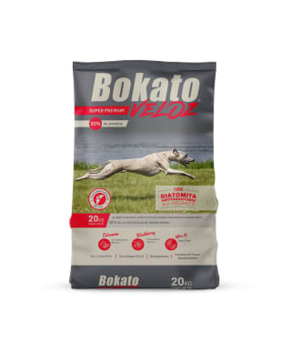 Bokato veloz