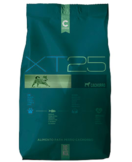 XT25