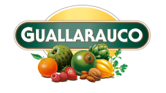GUALLARAUCO