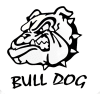 BULL DOG