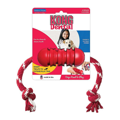 KONG DENTAL TALLA M1