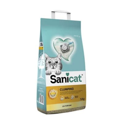 ARENA AGLUTINANTE SANICAT 5KG1