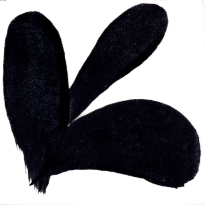 PIGMENTO NEGRO
