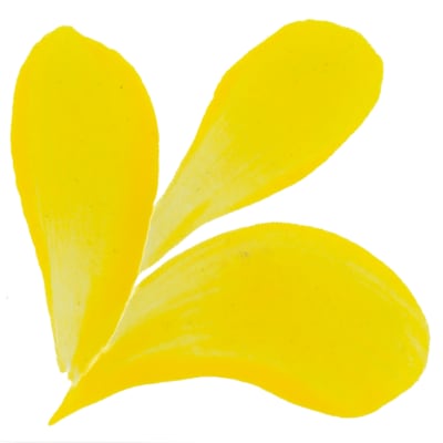PIGMENTO AMARILLO