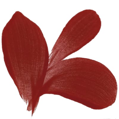PIGMENTO ROJO INTENSO