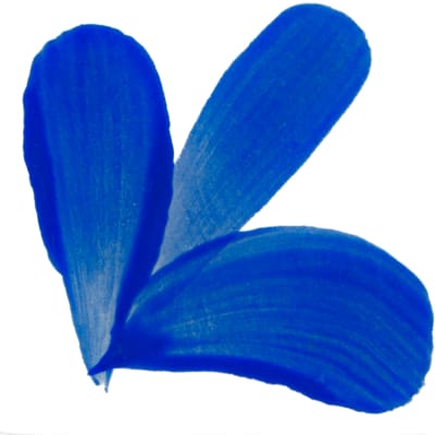 PIGMENTO AZUL CIELO