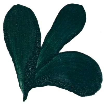 PIGMENTO VERDE BOTELLA
