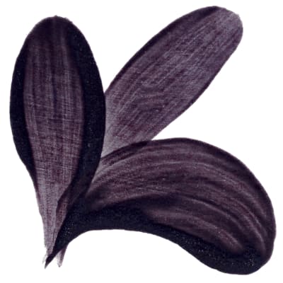 PIGMENTO MORADO