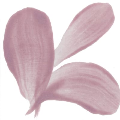 PIGMENTO ROSADO