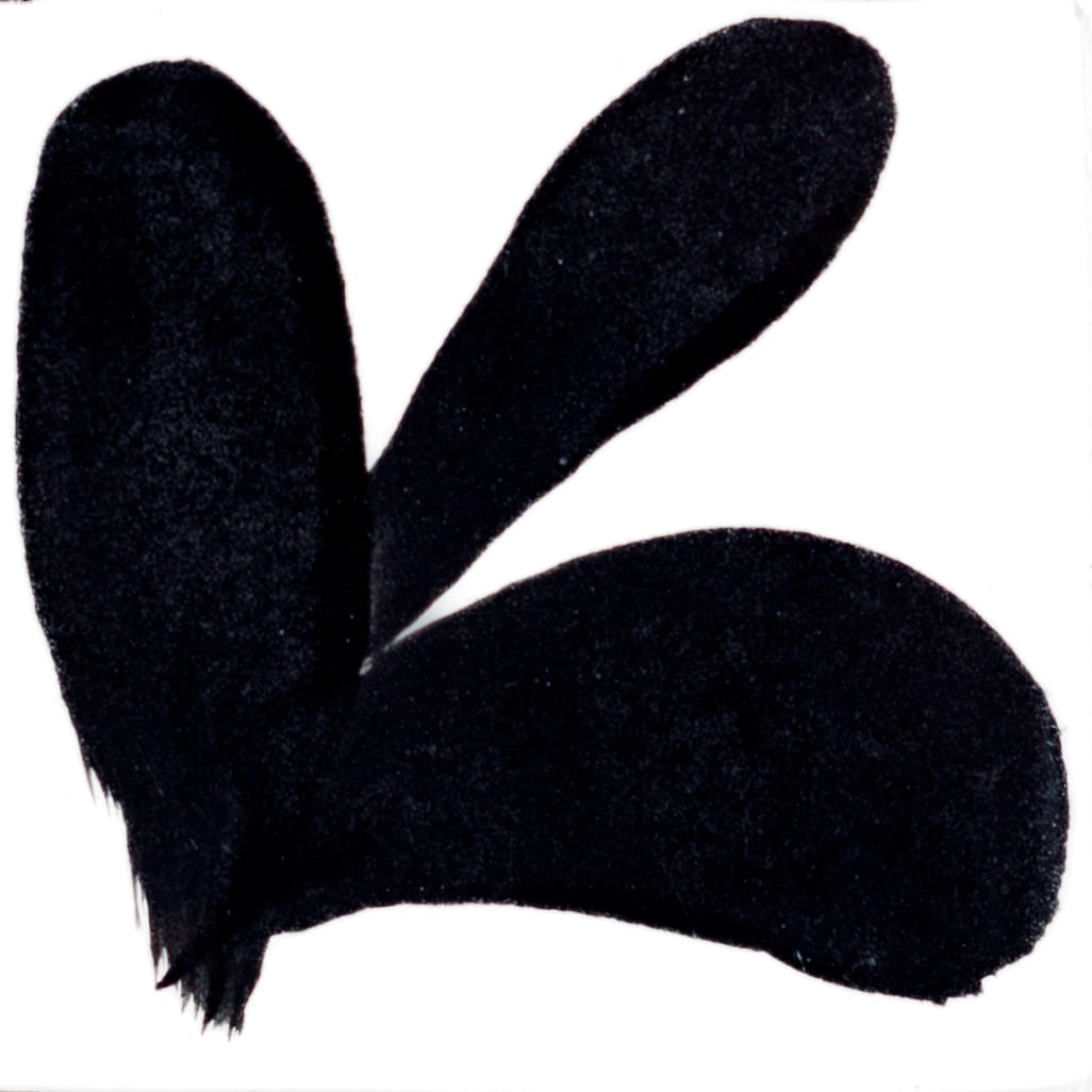 PIGMENTO NEGRO1