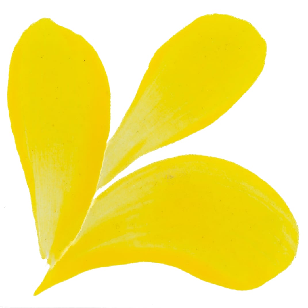 PIGMENTO AMARILLO1