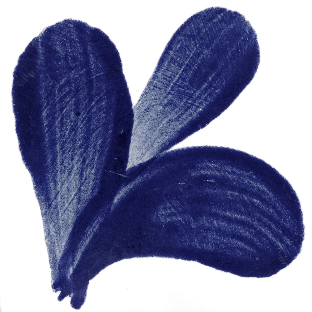 PIGMENTO AZUL MEXICANO1