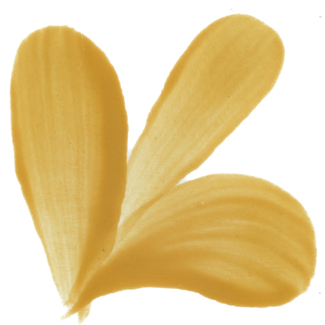 PIGMENTO AMARILLO ORO1