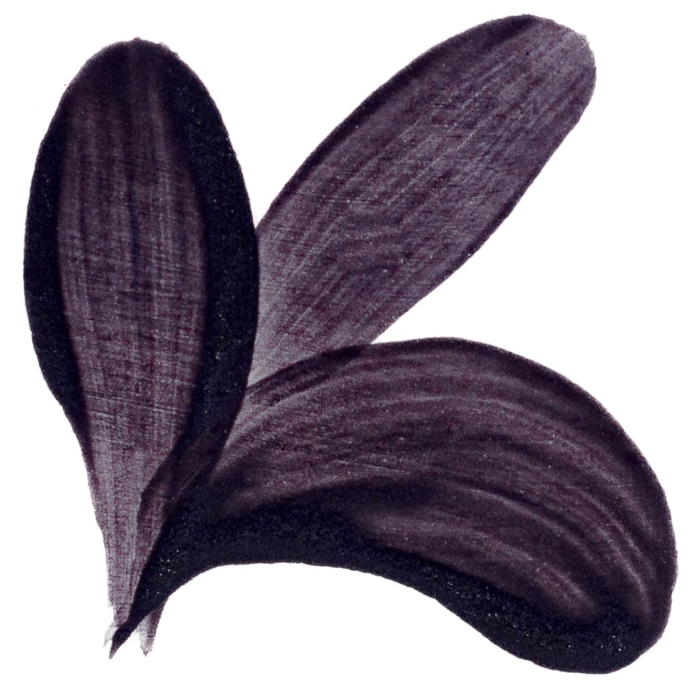 PIGMENTO MORADO1