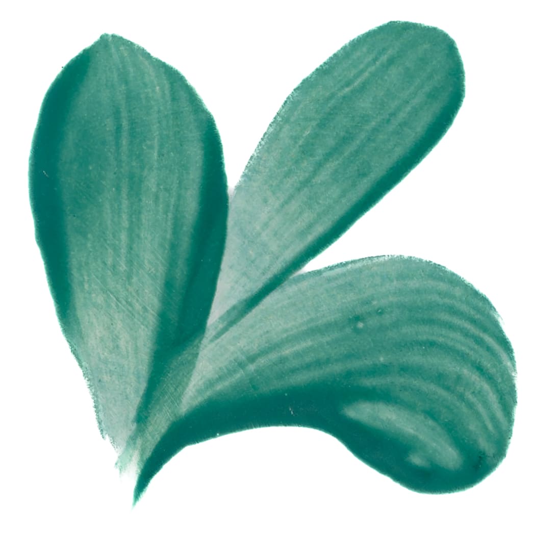 PIGMENTO TURQUESA1