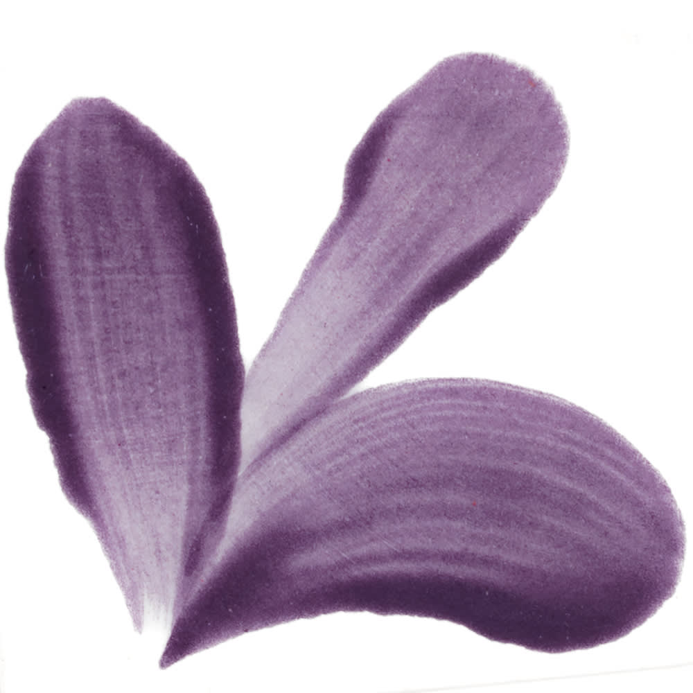PIMENTO LILA1