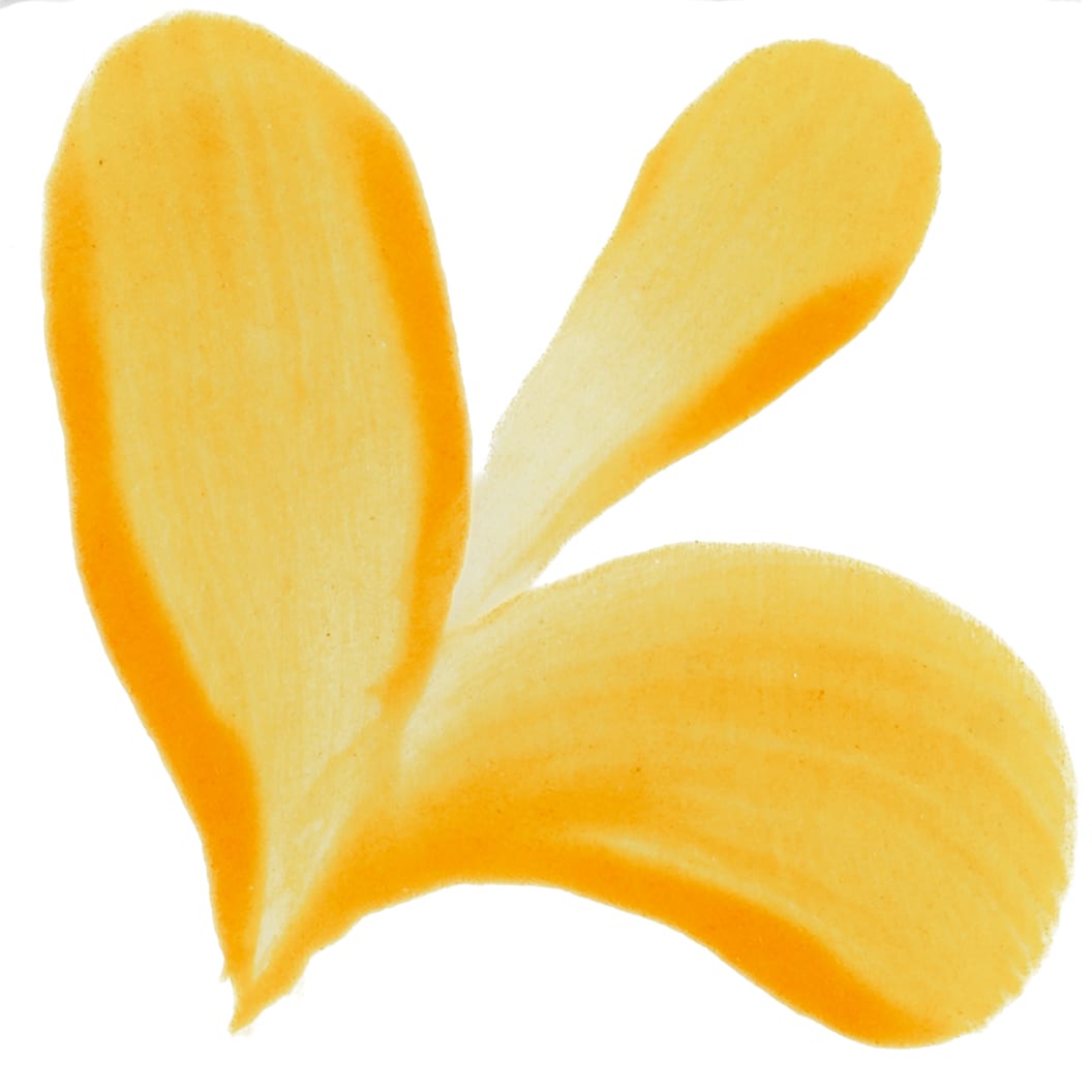 PIGMENTO AMARILLO OCRE1