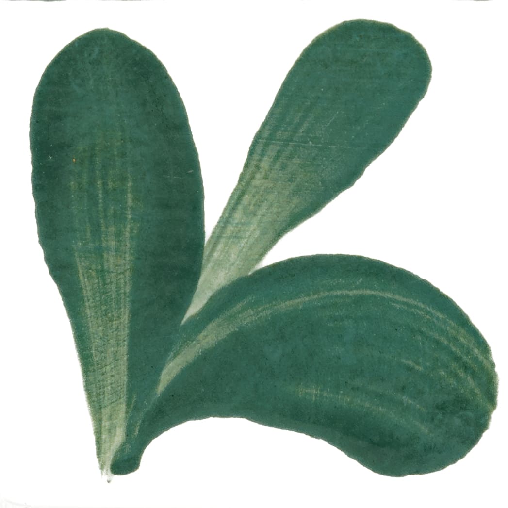 PIGMENTO JADE1