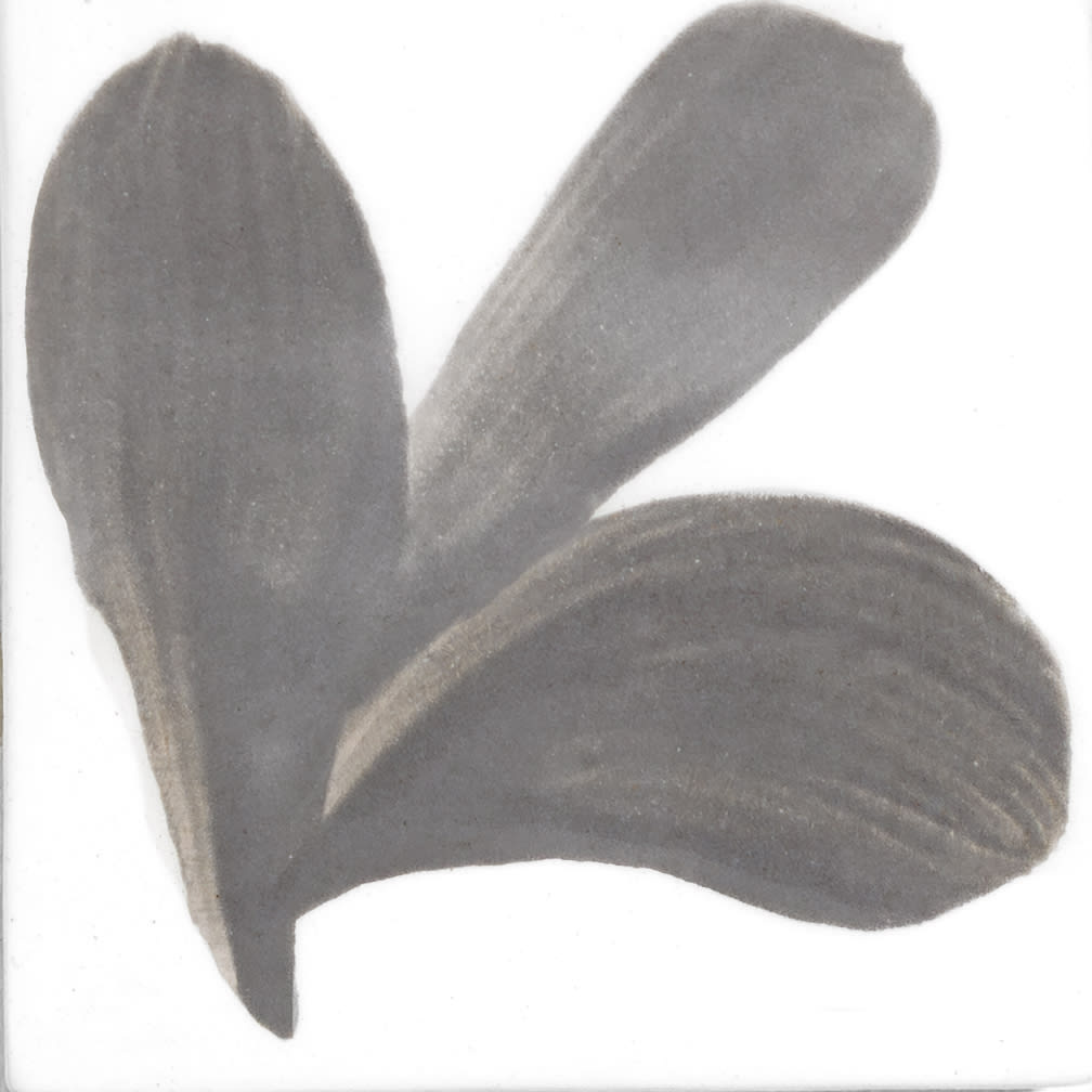 PIGMENTO GRIS1