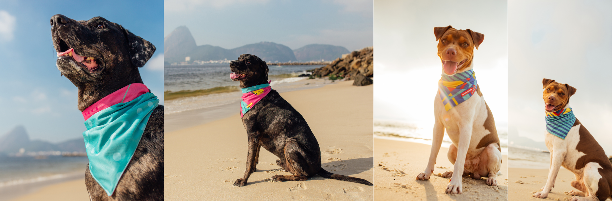 Cachorreiros bandanas reversibles