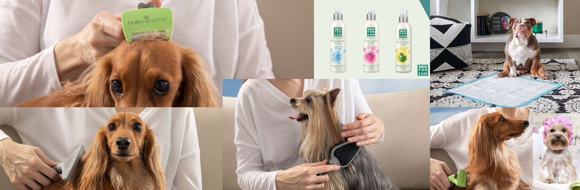 Shampoos y desenredantes para perros