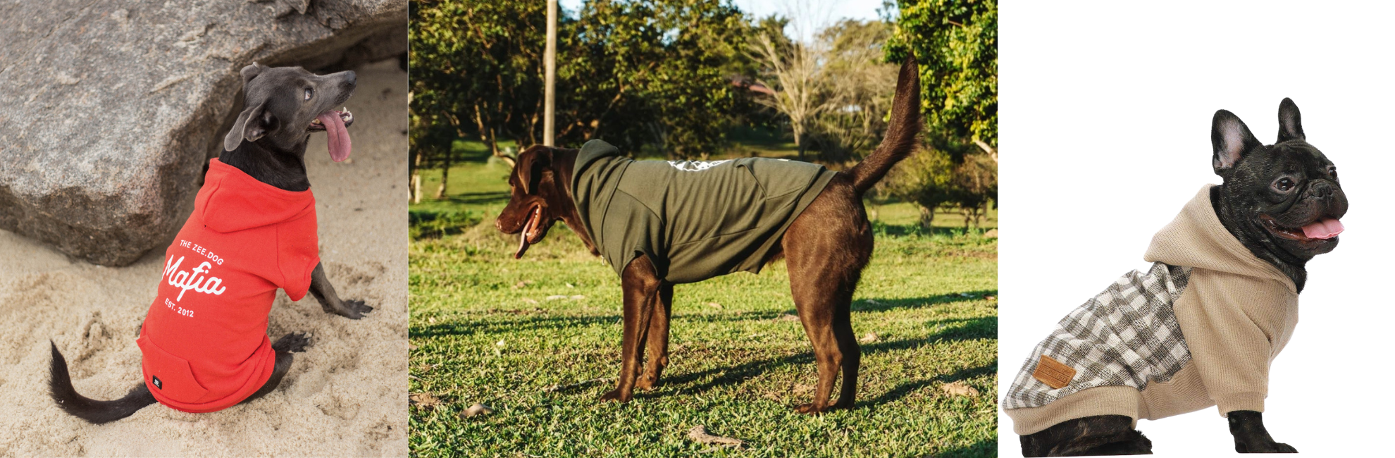 Sudaderas y abrigos